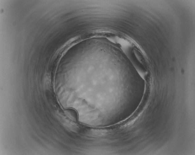 X0000084010825200703022029