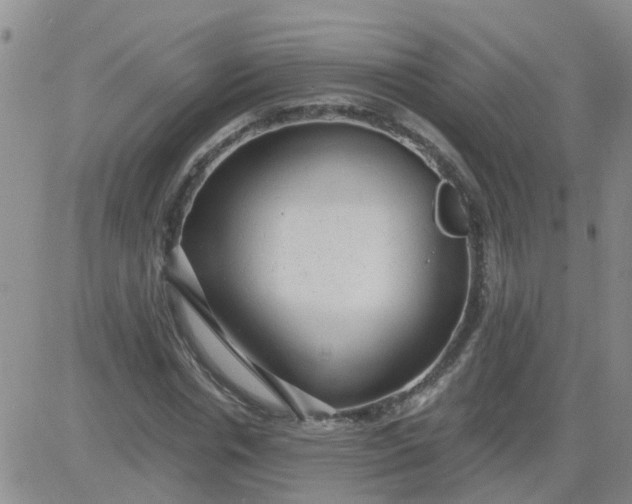 X0000084010826200703022029