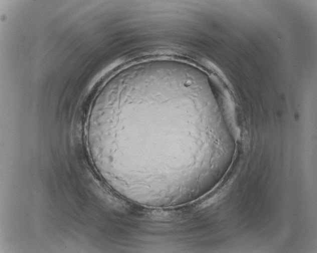 X0000084010827200703022029