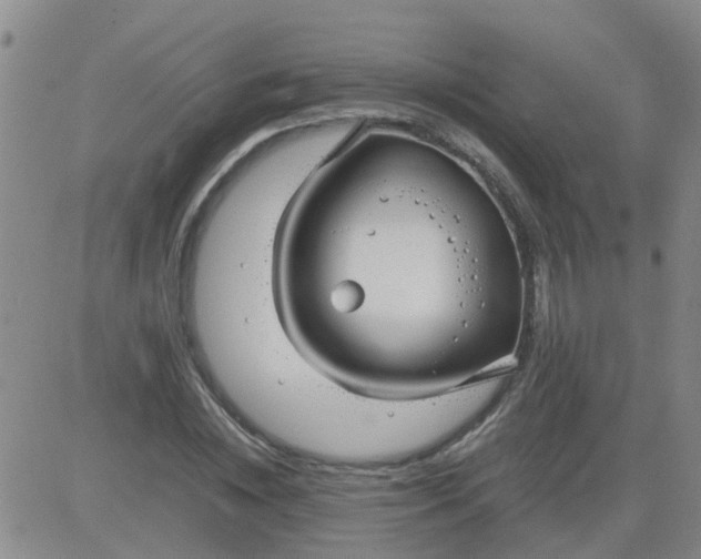 X0000084010828200703022029