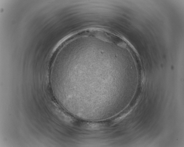 X0000084010829200703022029