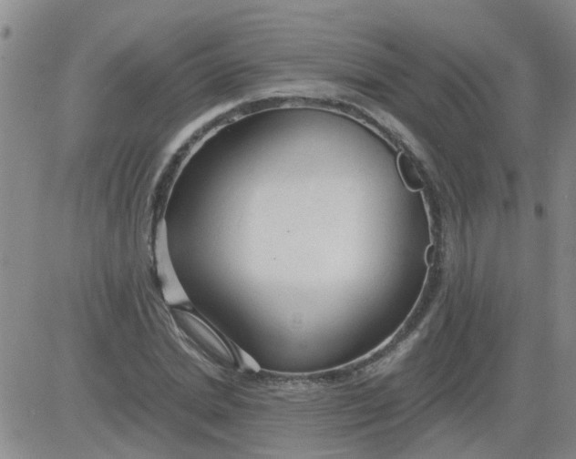 X0000084010830200703022029