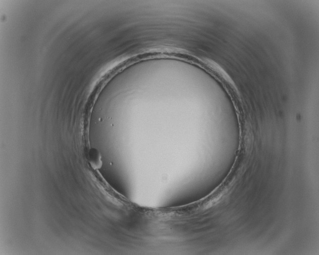 X0000084010831200703022029