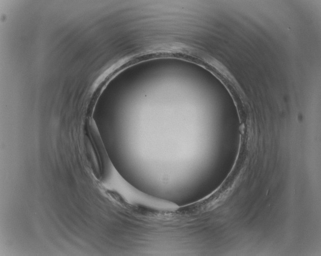 X0000084010834200703022029