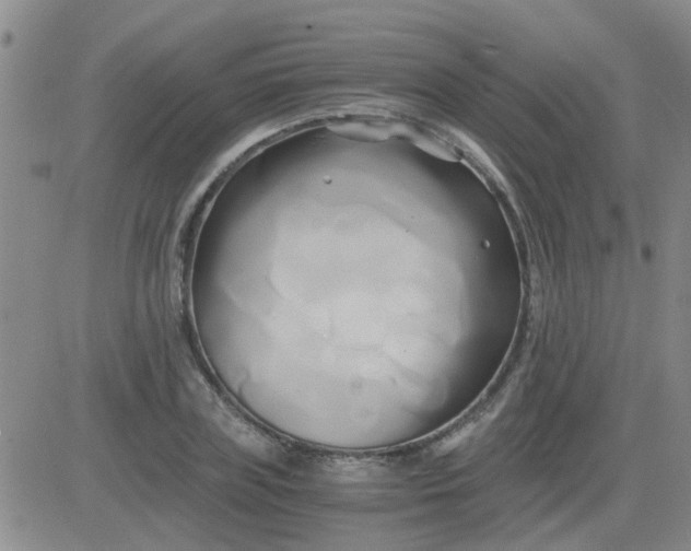 X0000084010835200703022029