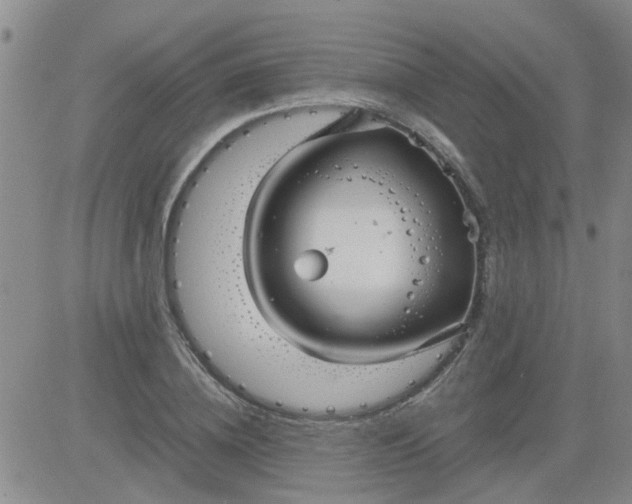 X0000084010836200703022029