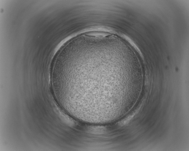 X0000084010837200703022029