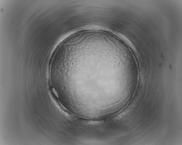 X0000084010839200703022029