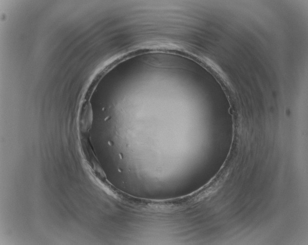 X0000084010840200703022029