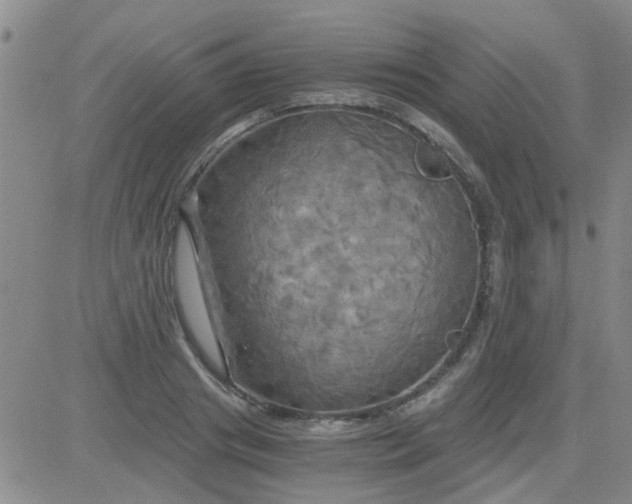 X0000084010841200703022029