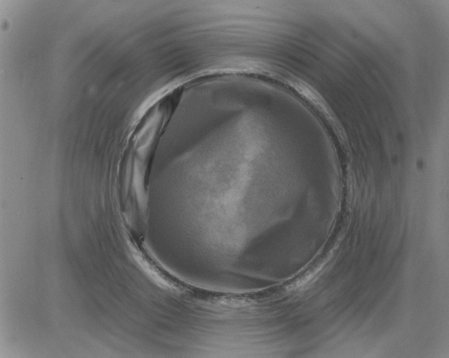 X0000084010842200703022029