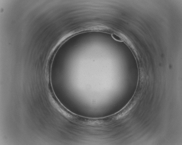 X0000084010843200703022029