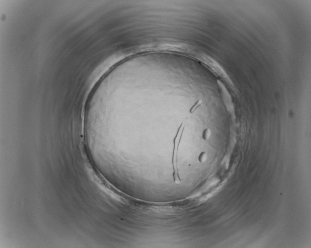 X0000084010844200703022029