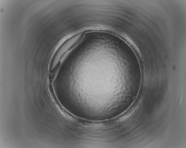 X0000084010845200703022029