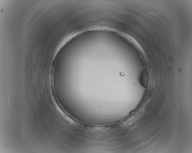 X0000084010847200703022029