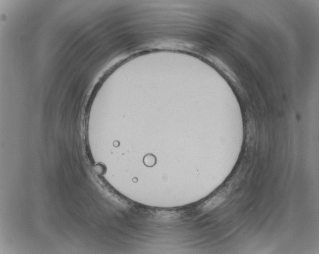 X0000084010848200703022029