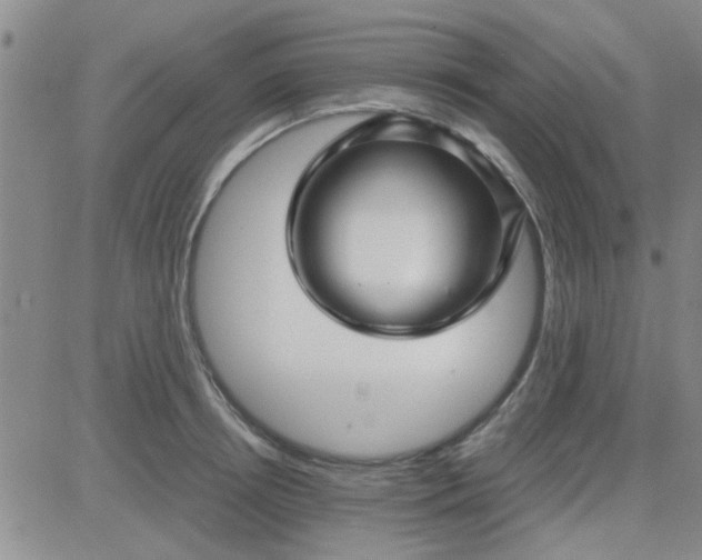 X0000084010850200703022029