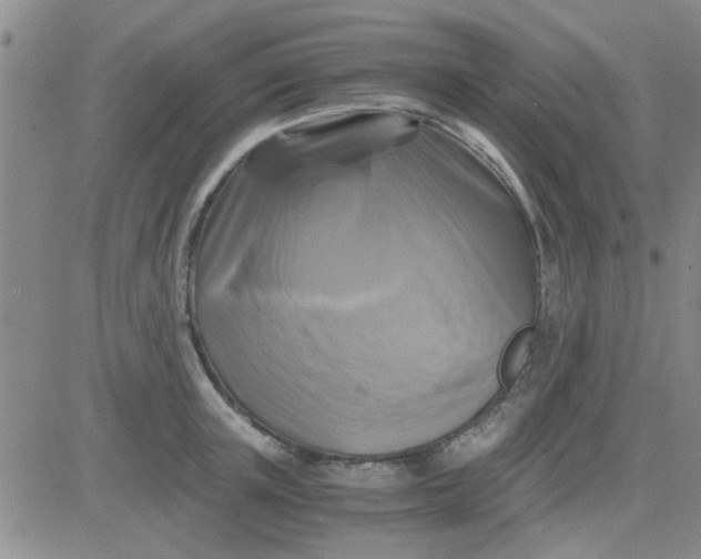 X0000084010851200703022029