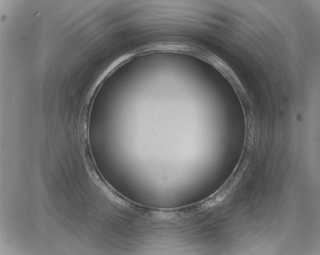 X0000084010852200703022029