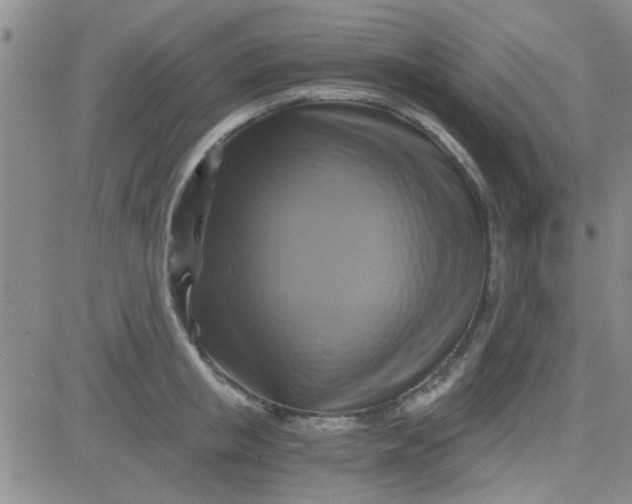 X0000084010853200703022029