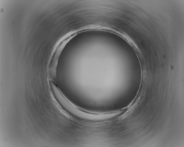 X0000084010854200703022029