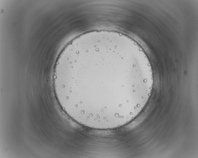 X0000084010856200703022029