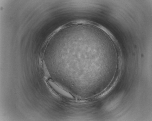 X0000084010857200703022029