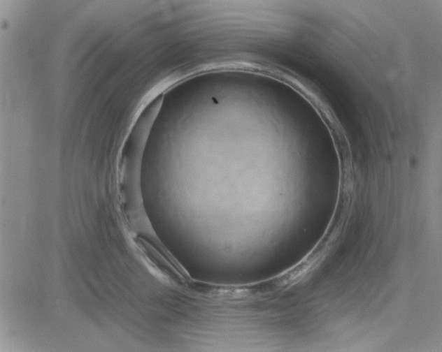 X0000084010858200703022029