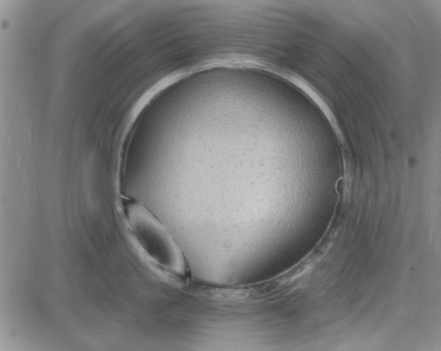 X0000084010861200703022029