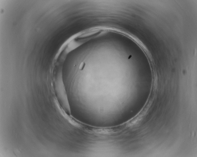 X0000084010862200703022029