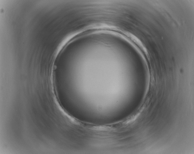 X0000084010863200703022029