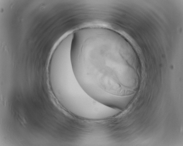 X0000084010864200703022029