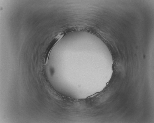 X0000084010865200703022029