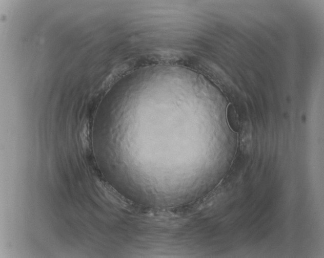 X0000084010866200703022029