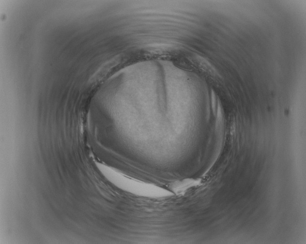 X0000084010868200703022028