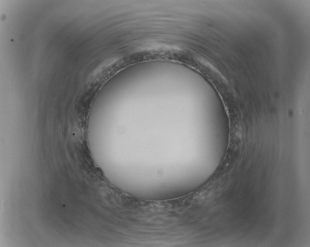 X0000084010869200703022028