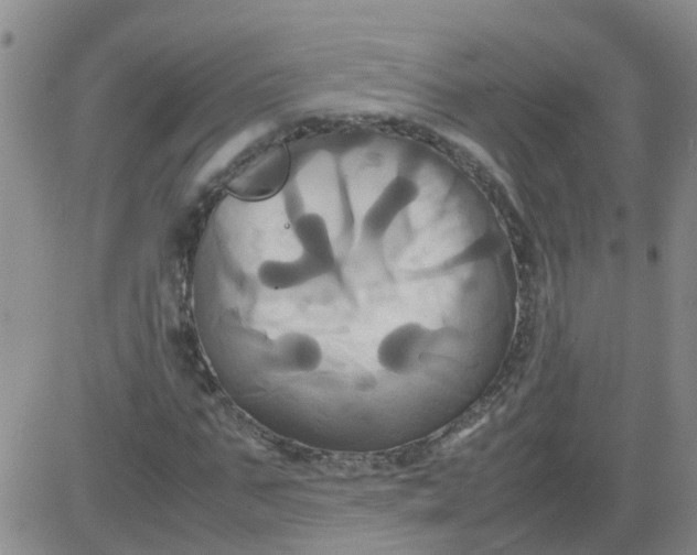 X0000084010871200703022028