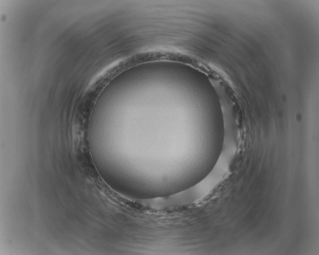 X0000084010872200703022028