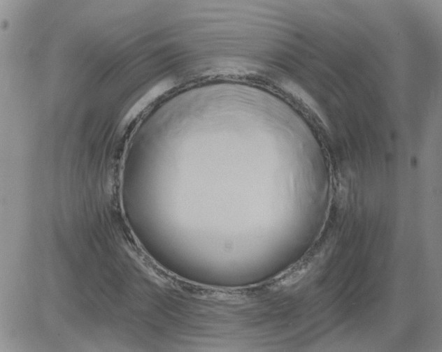 X0000084010874200703022028