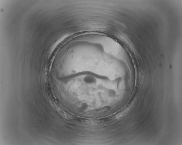 X0000084010875200703022028