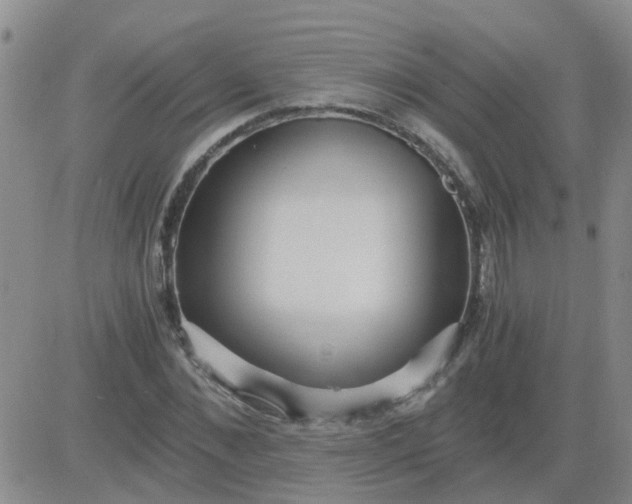 X0000084010876200703022028