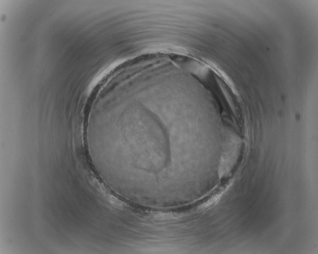 X0000084010877200703022028