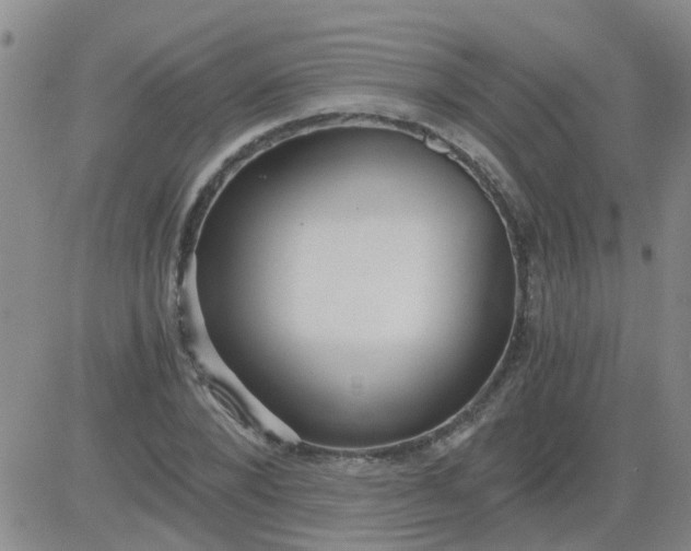 X0000084010880200703022028