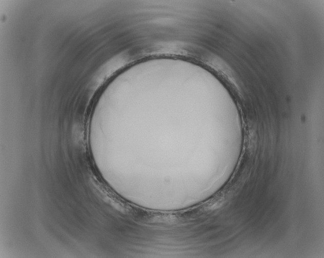 X0000084010882200703022028