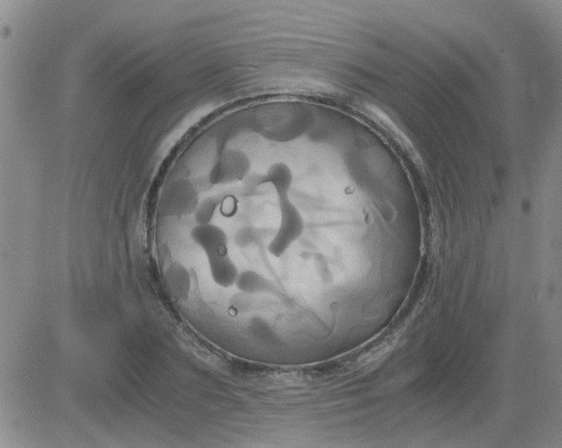 X0000084010883200703022028