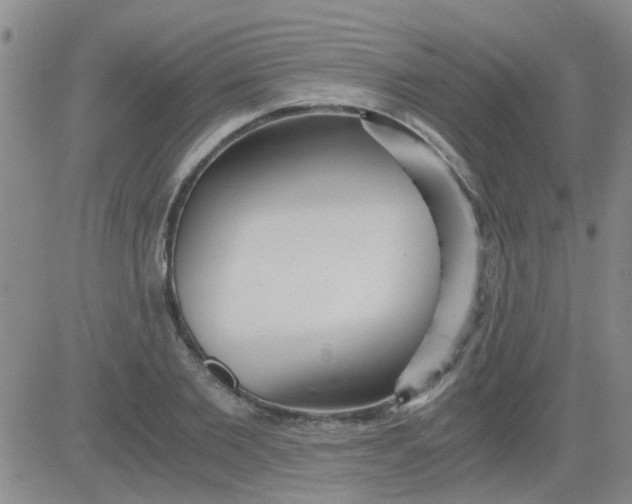 X0000084010885200703022028