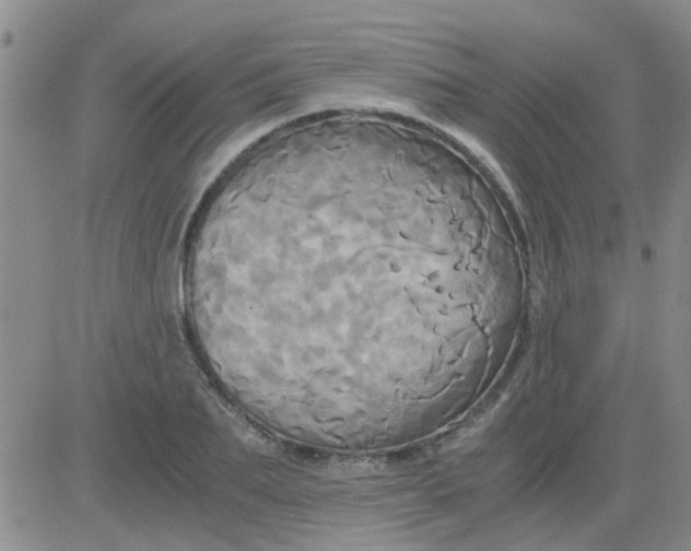 X0000084010887200703022028