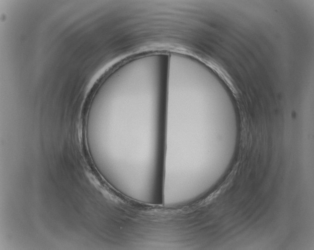 X0000084010888200703022028