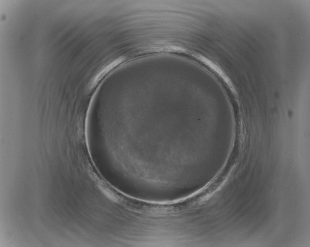 X0000084010889200703022028