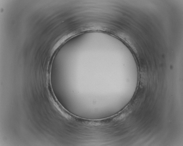 X0000084010890200703022028